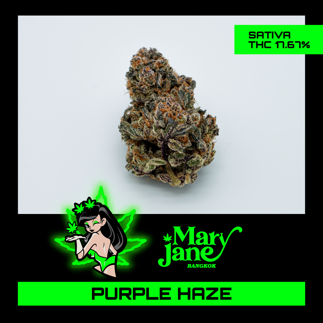 purple-haze-mary-jane-thailand