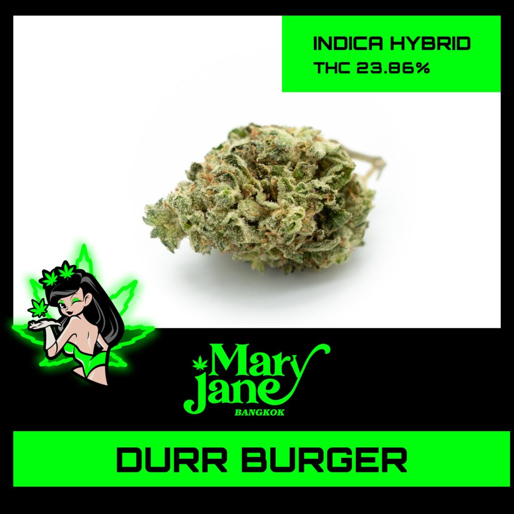 Durr Burger Strain