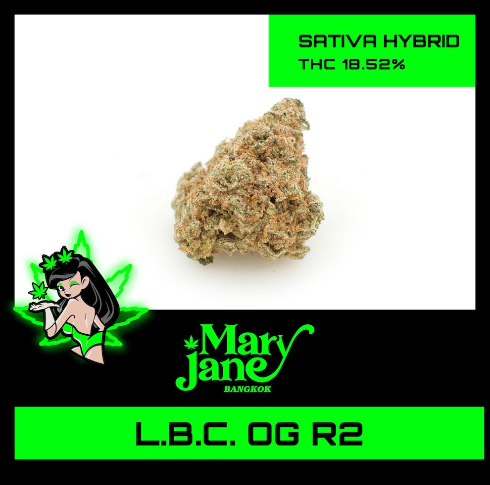 L.B.C. OG R2 Strain
