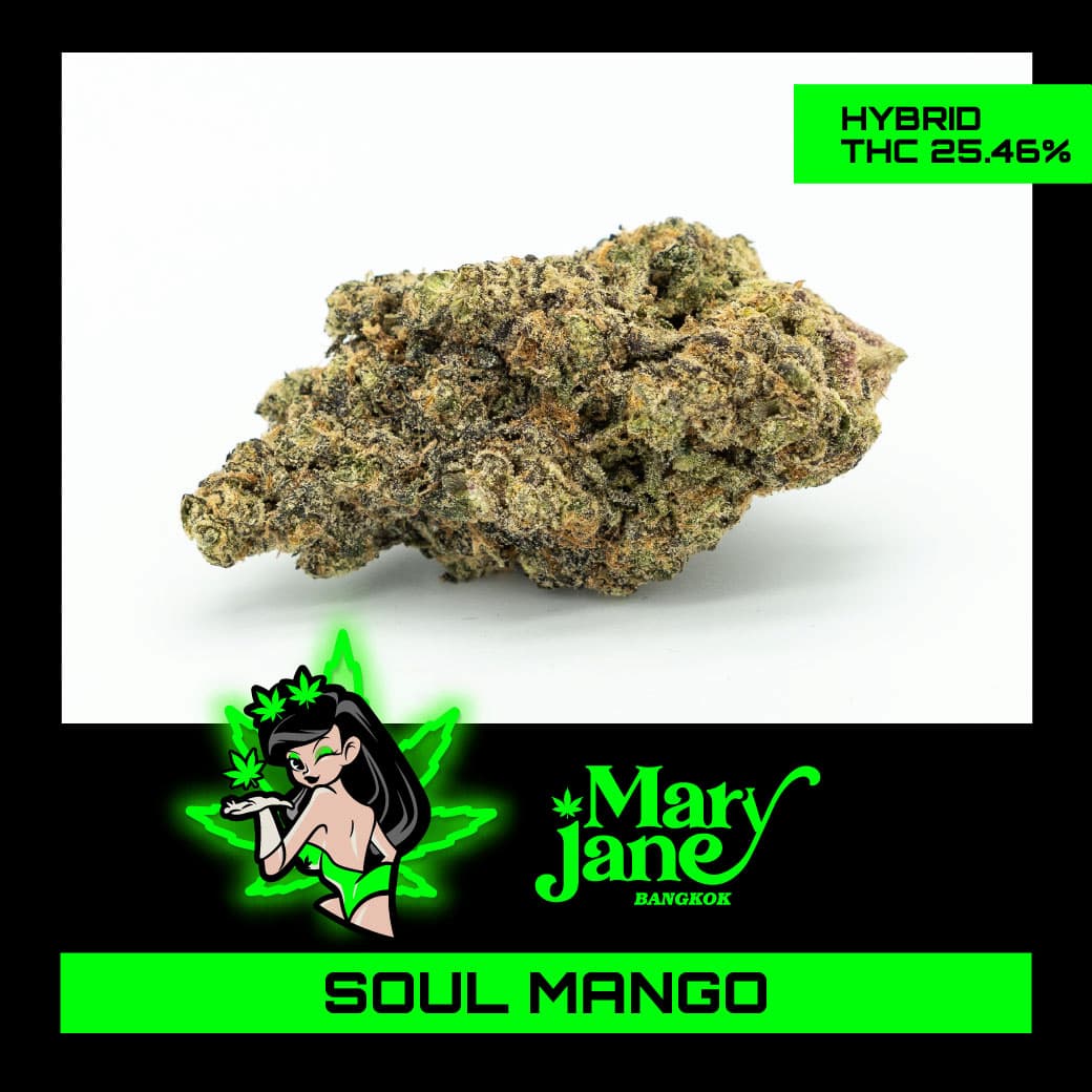 Soul-Mango-Cannabis-Strain
