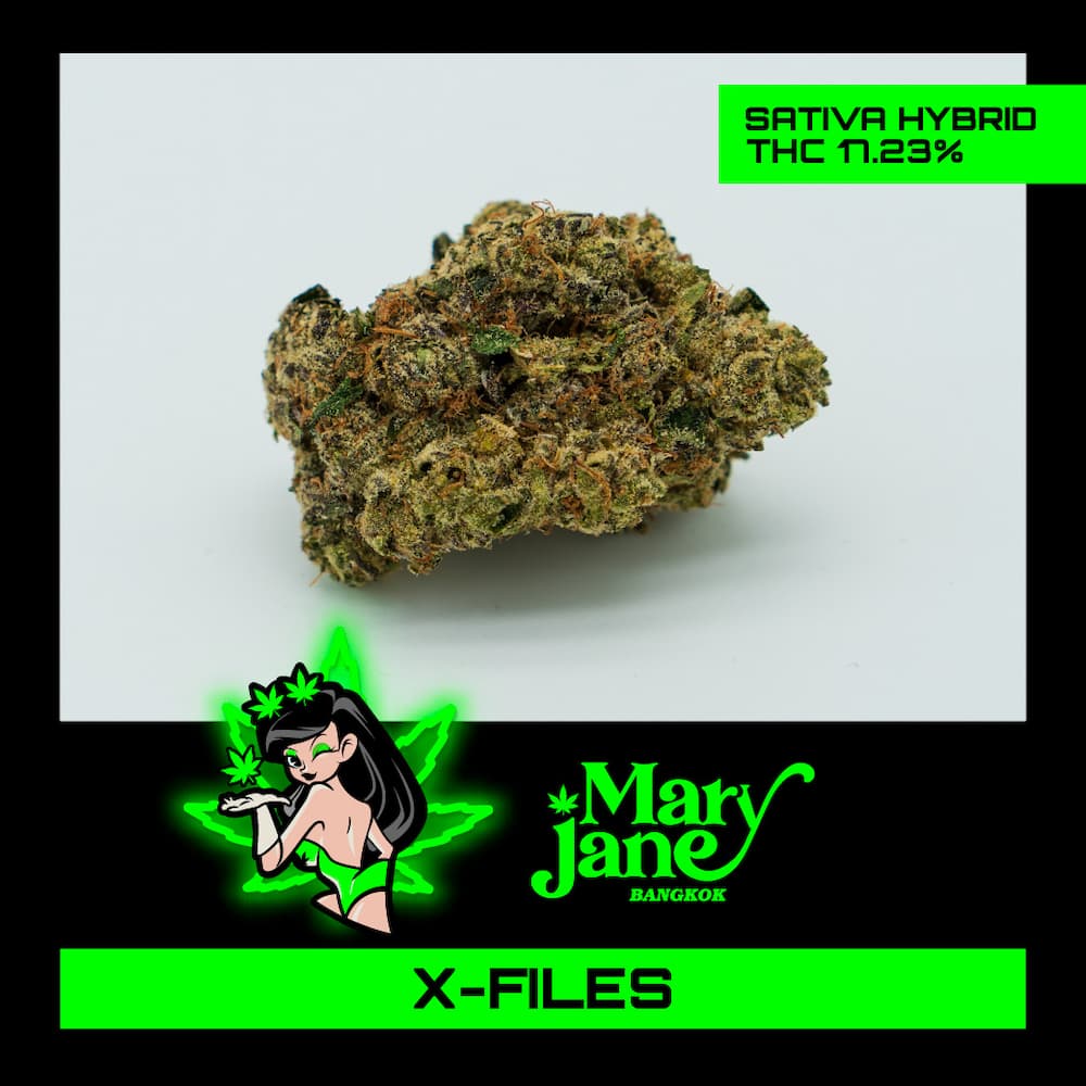 X-Files-Cannabis-Strain