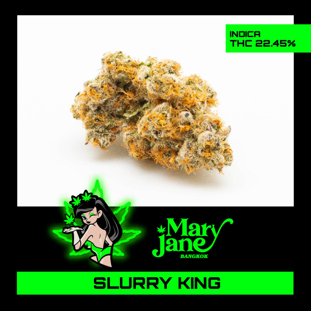 Slurry King