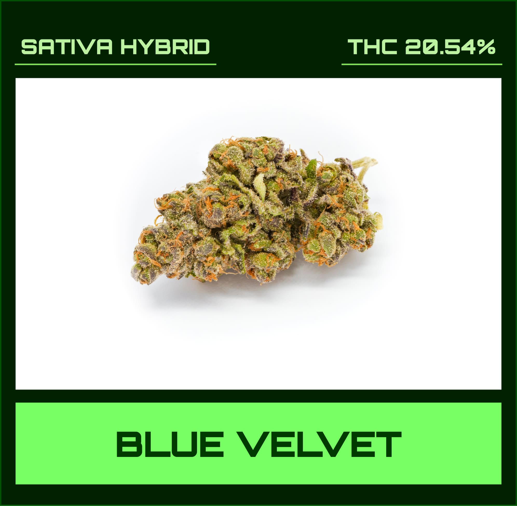 Blue Velvet