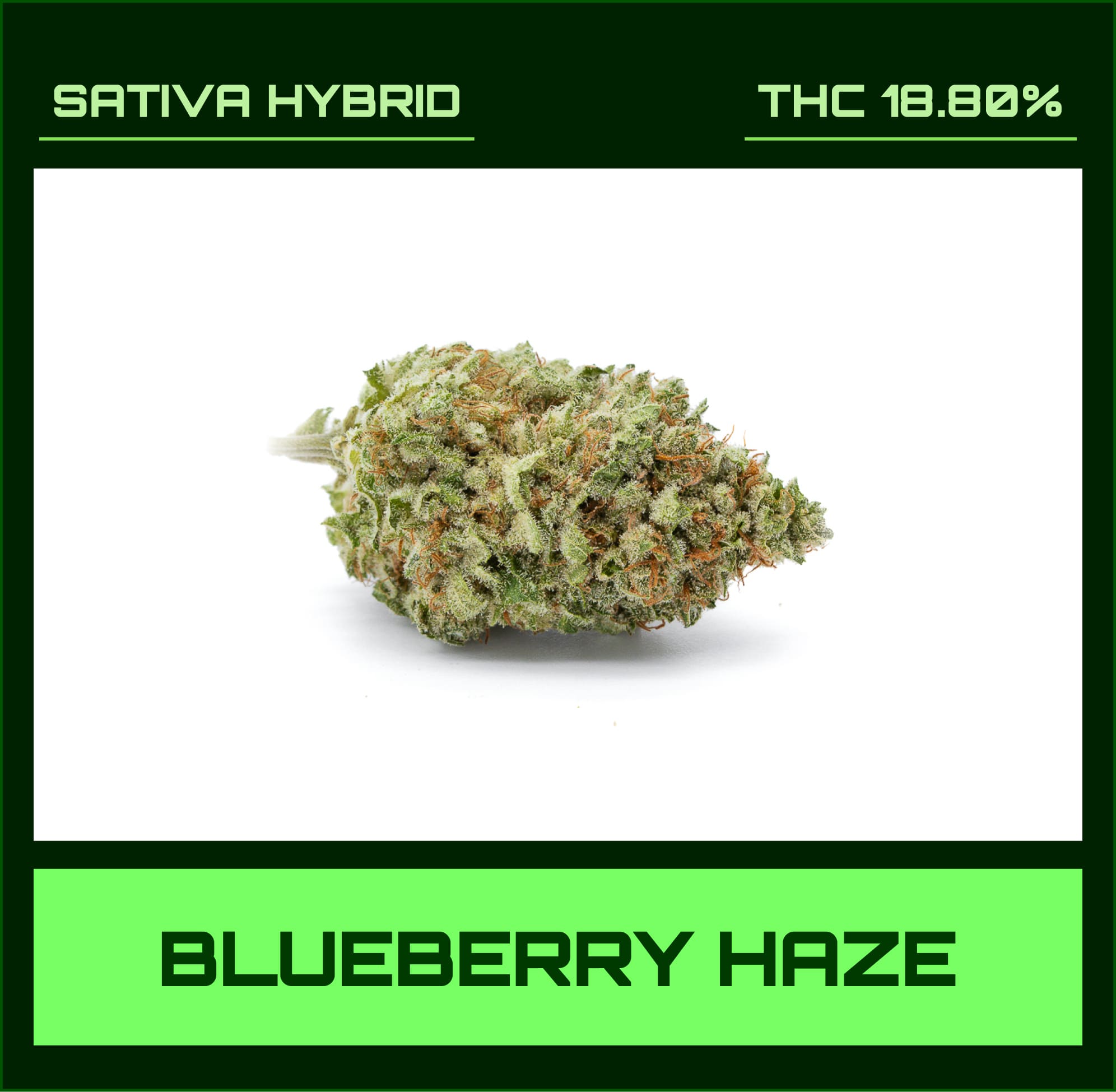 BLUEBERRY HAZE