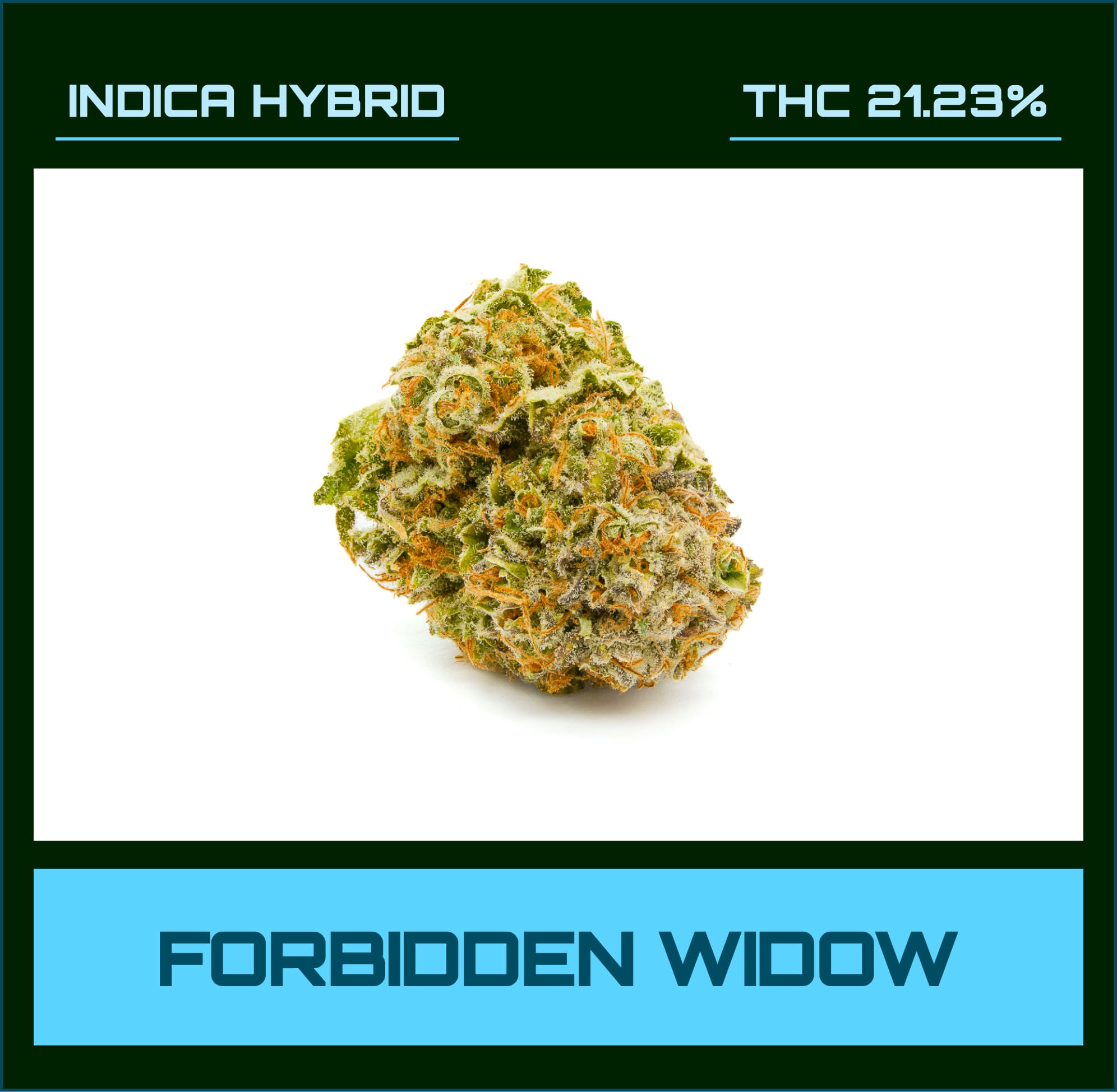 Forbidden Widow