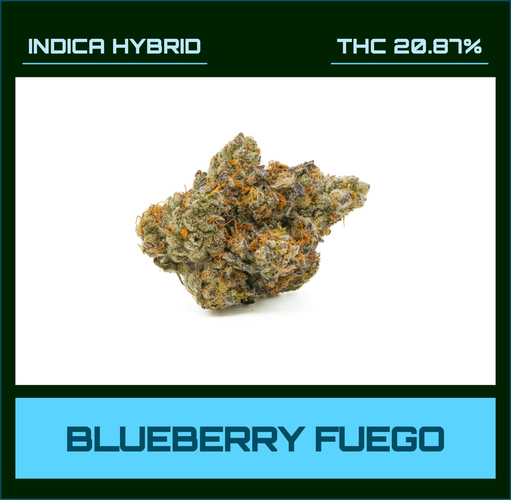 Blueberry fuego