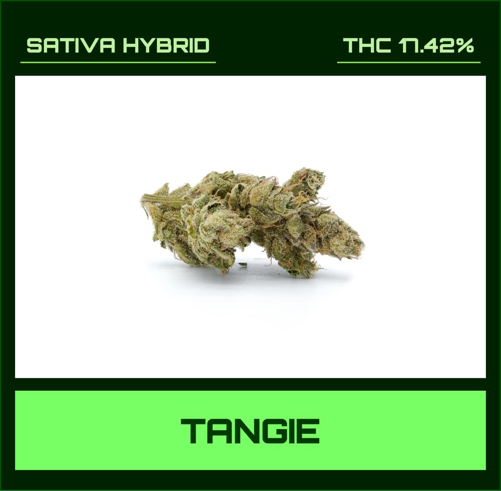 Tangie