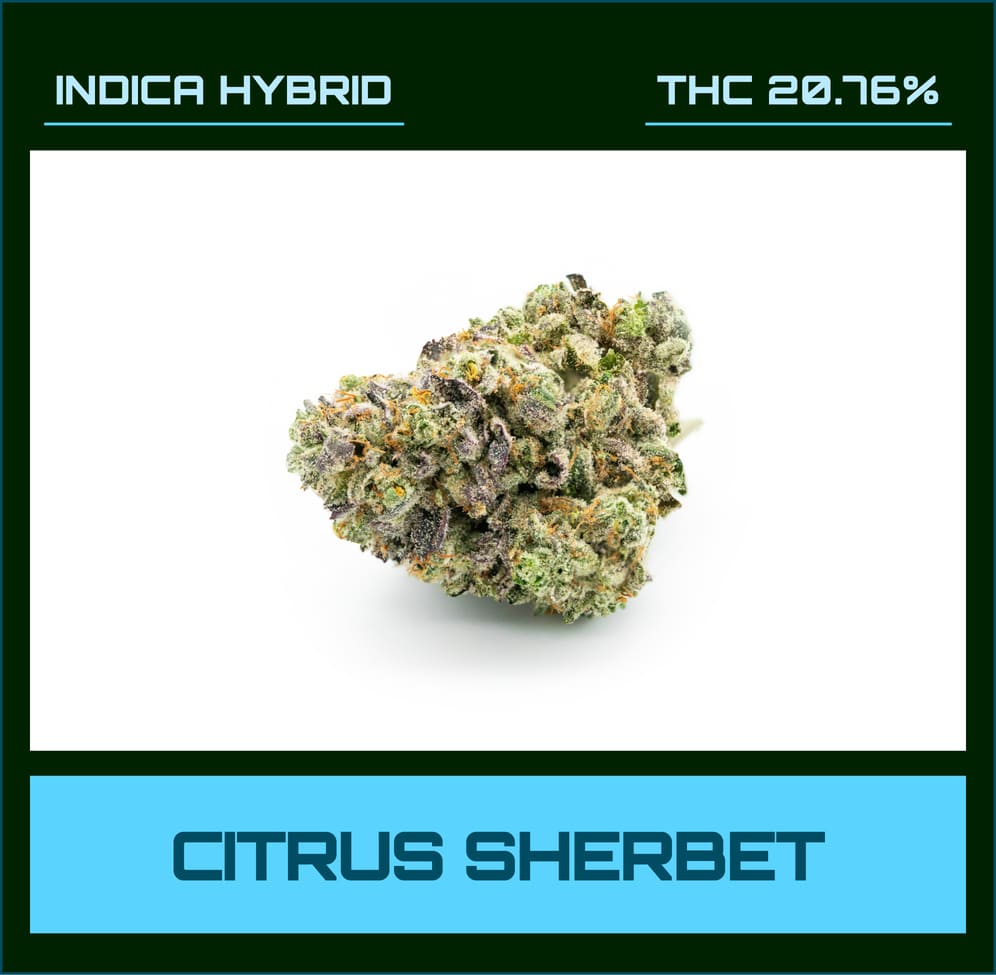 Citrus Sherbet