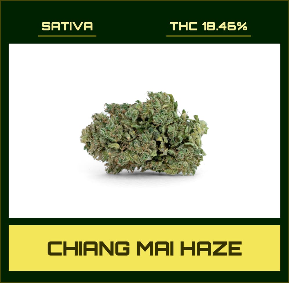 Chiang mai haze