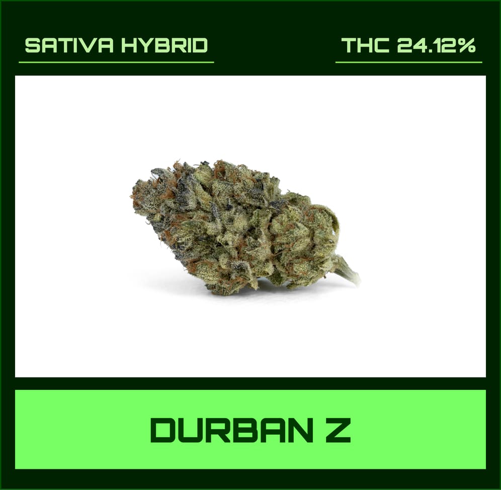 Durban Z