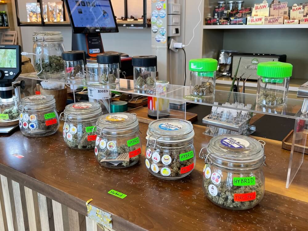Thailand cannabis cafes 