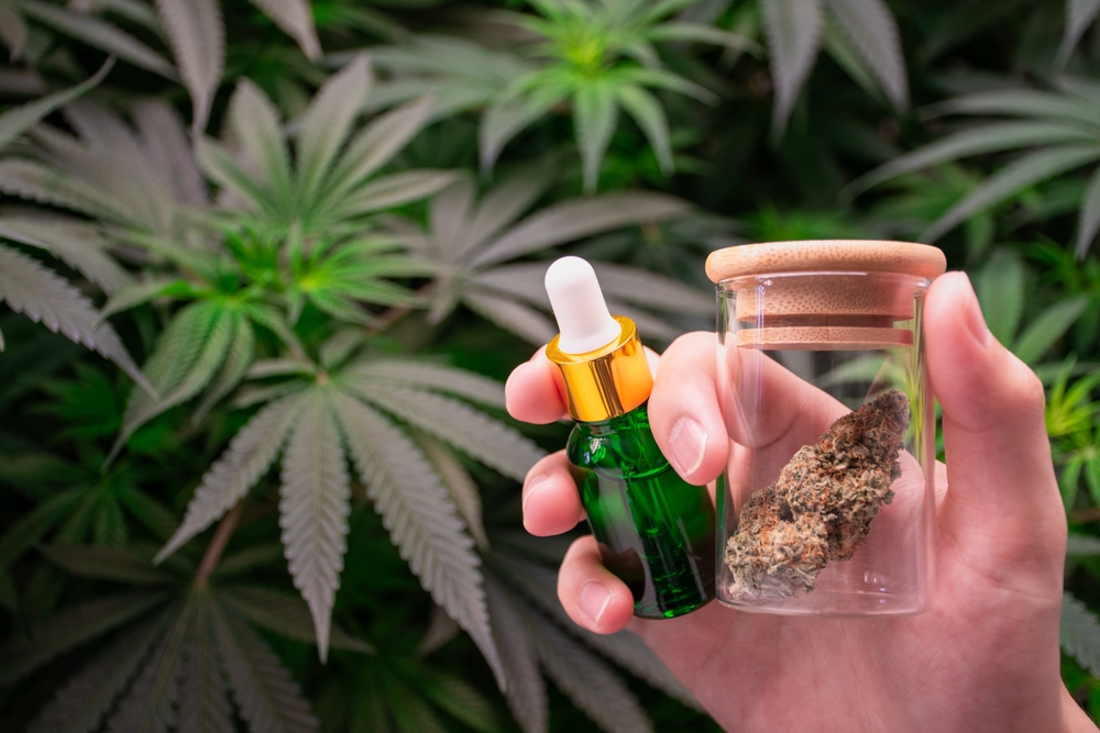 Legally Buy Weed In Bangkok in 2025