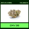CMV OG