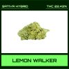 LEMON WALKER