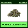 PURPLE CLEMENTINE