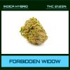 FORBIDDEN WIDOW